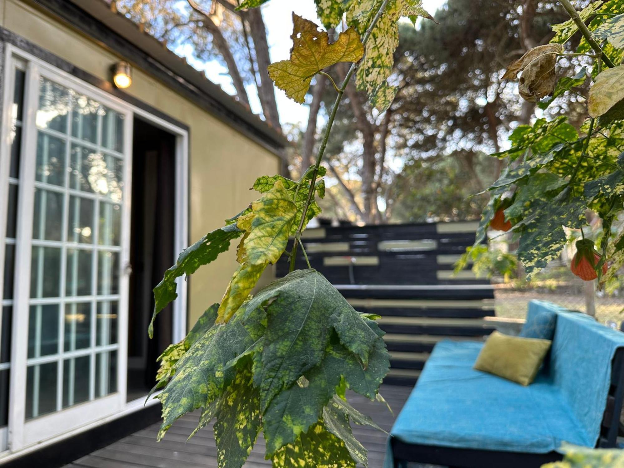 Eco-Friendly Beach House Sesimbra Extérieur photo