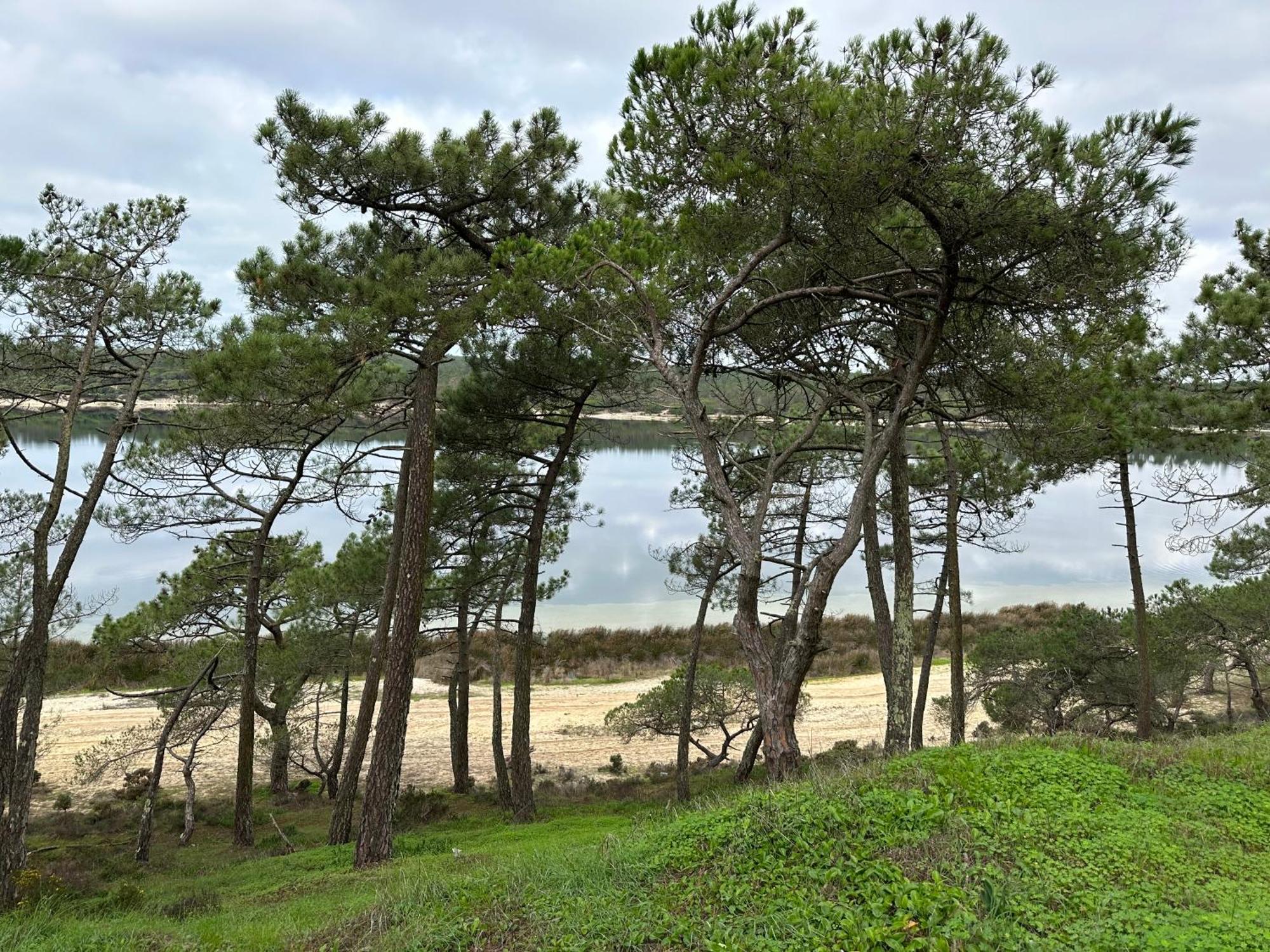 Eco-Friendly Beach House Sesimbra Extérieur photo